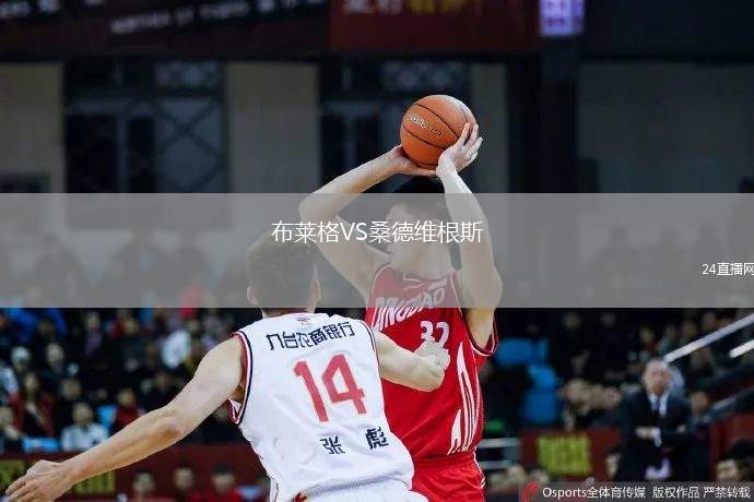 布萊格VS桑德維根斯