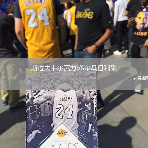 斯拉夫韋爾瓦力VS多馬日利采