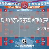 斯維特VS蘇勒約維克
