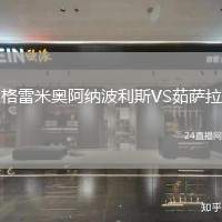 格雷米奧阿納波利斯VS茹薩拉