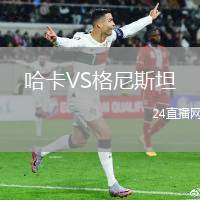 哈卡VS格尼斯坦