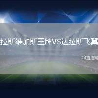 拉斯維加斯王牌VS達拉斯飛翼