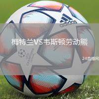 梅特蘭VS韋斯頓勞動熊