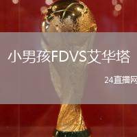 小男孩FDVS艾華塔