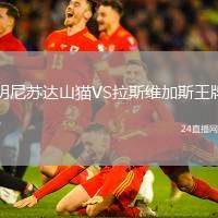 明尼蘇達(dá)山貓VS拉斯維加斯王牌