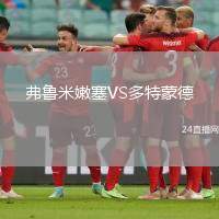 弗魯米嫩塞VS多特蒙德