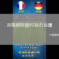 吉隆超級貓VS鉆石谷鷹