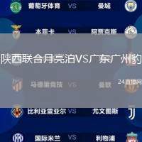 陜西聯(lián)合月亮泊VS廣東廣州豹