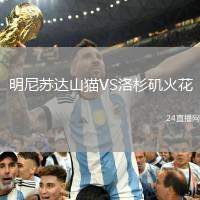 明尼蘇達山貓VS洛杉磯火花