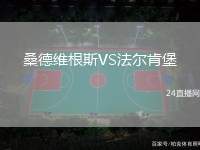 桑德維根斯VS法爾肯堡