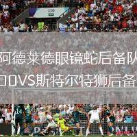 阿德萊德眼鏡蛇后備隊VS斯特爾特獅后備隊