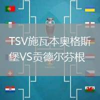 TSV施瓦本奧格斯堡VS貢德爾芬根