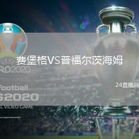 費堡格VS普福爾茨海姆