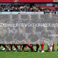 艾格納比利克VSKFK科帕沃古爾