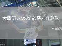 大腳野人VS斯諾霍米什聯隊
