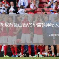 明尼蘇達(dá)山貓VS華盛頓神秘人
