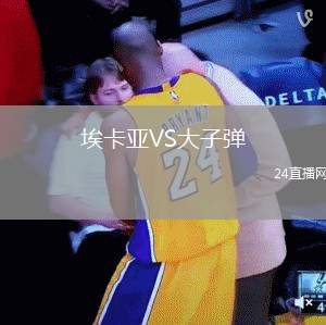 埃卡亞VS大子彈