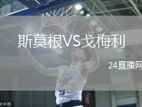斯莫根VS戈梅利
