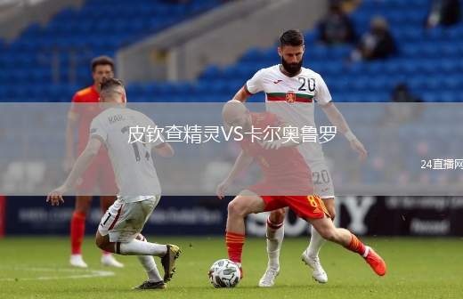 皮欽查精靈VS卡爾奧魯羅
