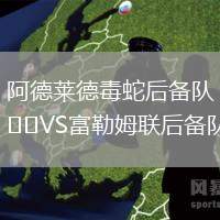 阿德萊德毒蛇后備隊VS富勒姆聯后備隊