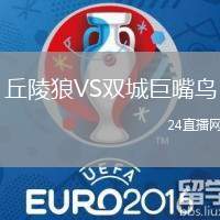 丘陵狼VS雙城巨嘴鳥