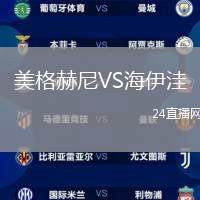 美格赫尼VS海伊洼