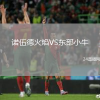 諾伍德火焰VS東部小牛