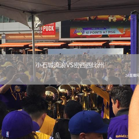 小石城流浪VS密西西比州