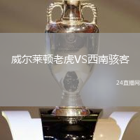 威爾萊頓老虎VS西南駭客