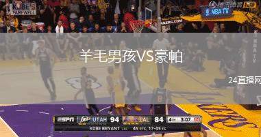 羊毛男孩VS豪帕