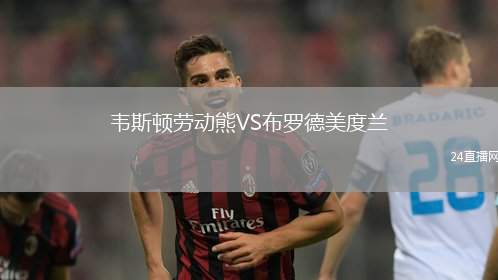 韋斯頓勞動熊VS布羅德美度蘭