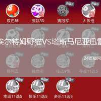 埃爾特姆野貓VS塔斯馬尼亞迅雷