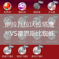 伊拉瓦拉沃拉塔鷹VS霍恩斯比蜘蛛