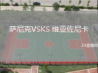 薩尼克VSKS 維亞佐尼卡