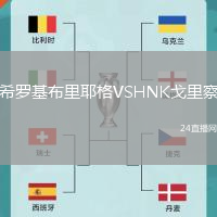 希羅基布里耶格VSHNK戈里察