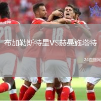 布加勒斯特星VS赫曼施塔特