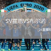 SV霍恩VS布爾諾