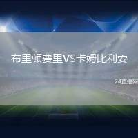 布里頓費里VS卡姆比利安