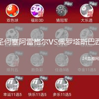 圣何塞阿雷格爾VS佩羅塔斯巴西