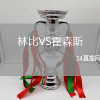 林比VS霍森斯
