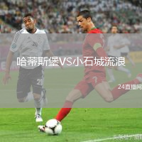 哈蒂斯堡VS小石城流浪