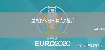 基柏VSEIF埃克納斯