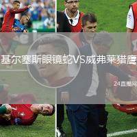 基爾塞斯眼鏡蛇VS威弗萊獵鷹