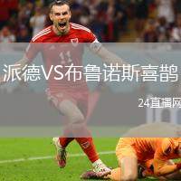 派德VS布魯諾斯喜鵲