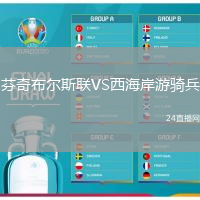 芬奇布爾斯聯(lián)VS西海岸游騎兵