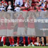 尼亞加拉河獅VS布蘭普頓蜜獾