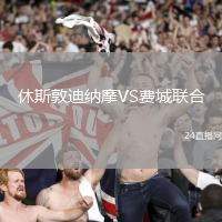 休斯敦迪納摩VS費(fèi)城聯(lián)合
