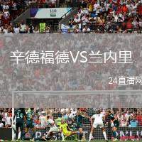 辛德福德VS蘭內里