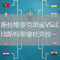 斯拉維亞克思雀VS比斯特里察杜克拉