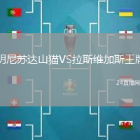 明尼蘇達(dá)山貓VS拉斯維加斯王牌